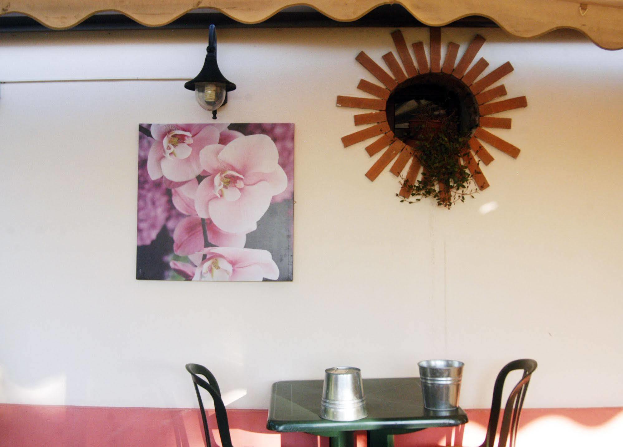 Locanda Merlaschio Faenza Extérieur photo