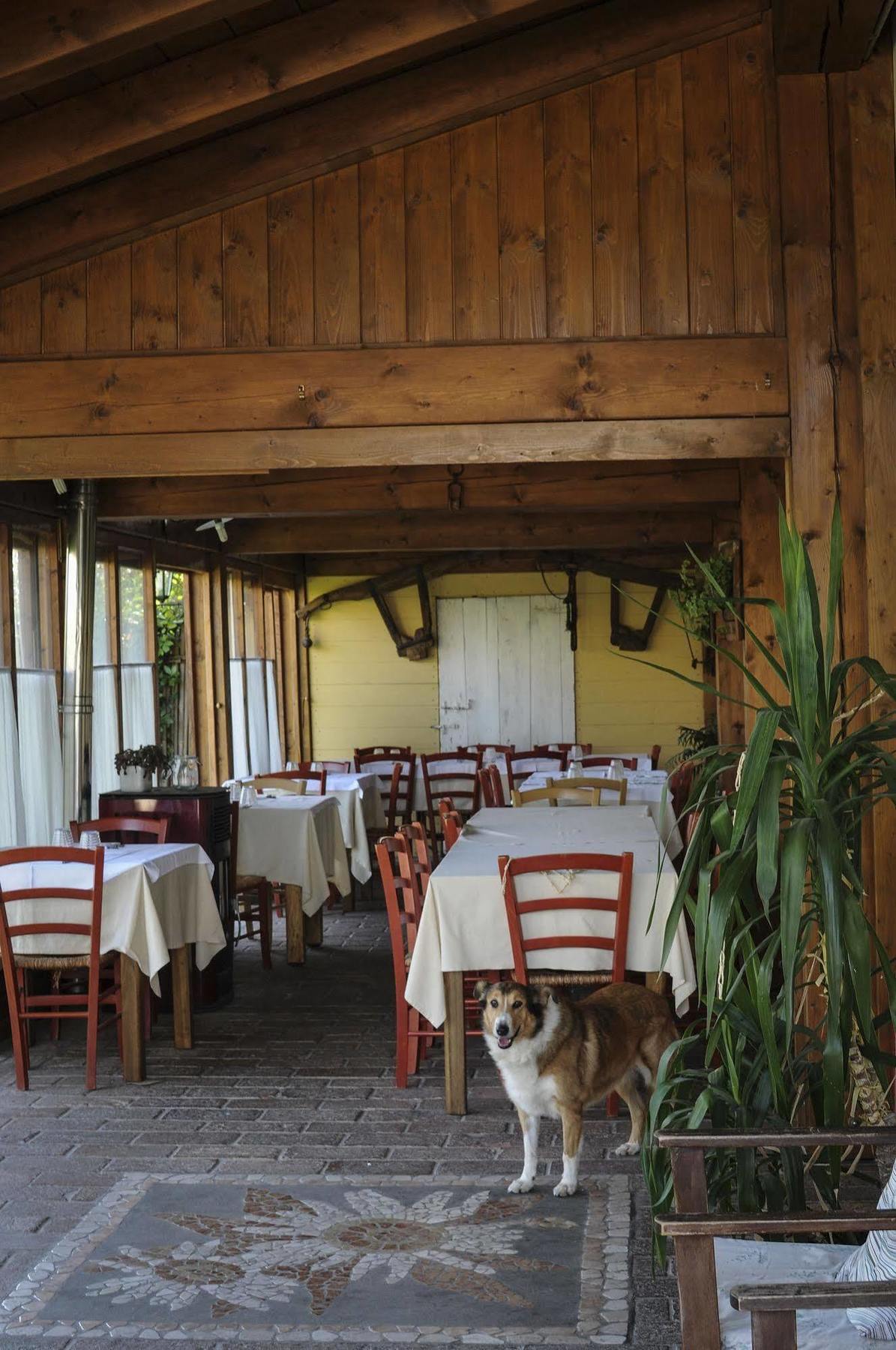 Locanda Merlaschio Faenza Extérieur photo